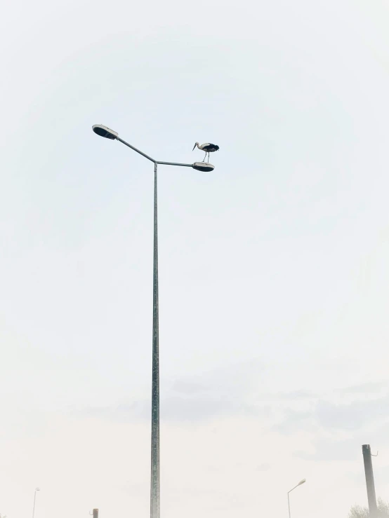 two streetlights on post by roadway during cloudy day