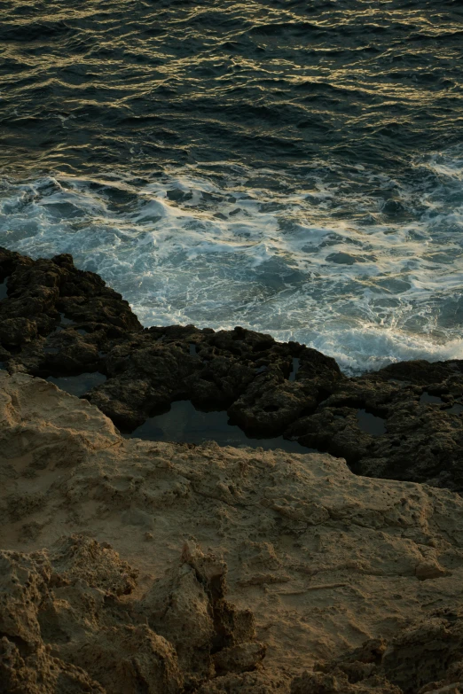 a bird is standing on the edge of some rocks near the ocean