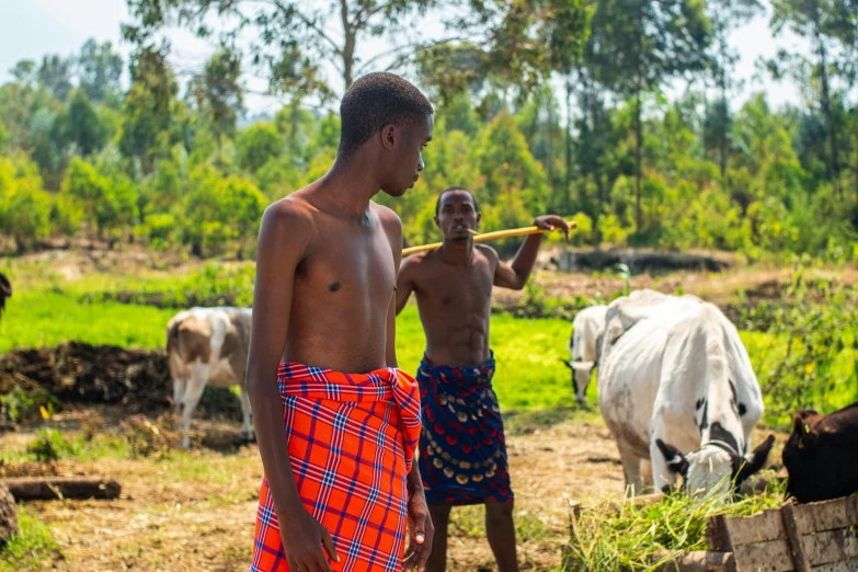 two s with their heads bowed stand in front of cows on a field