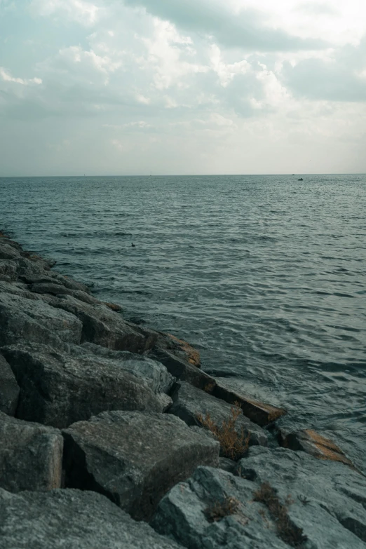 the shore line with the sea near a grassy patch