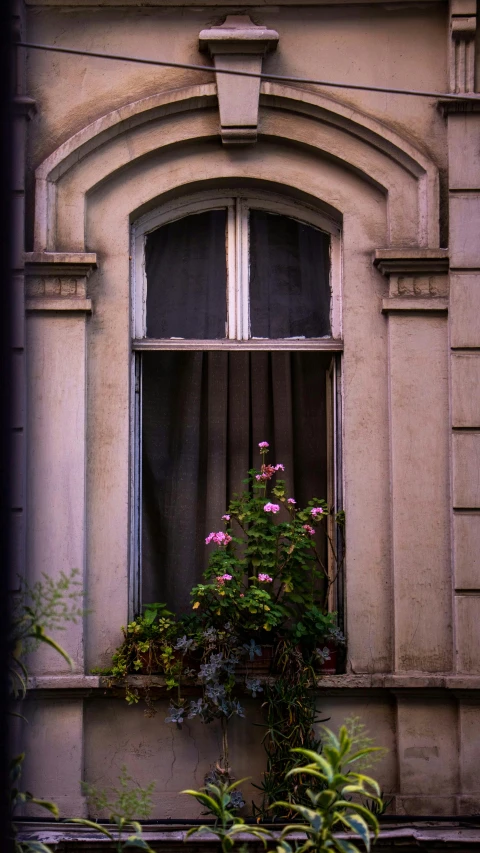 an image of a window that is outside