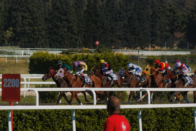 a group of people riding on the back of brown horses