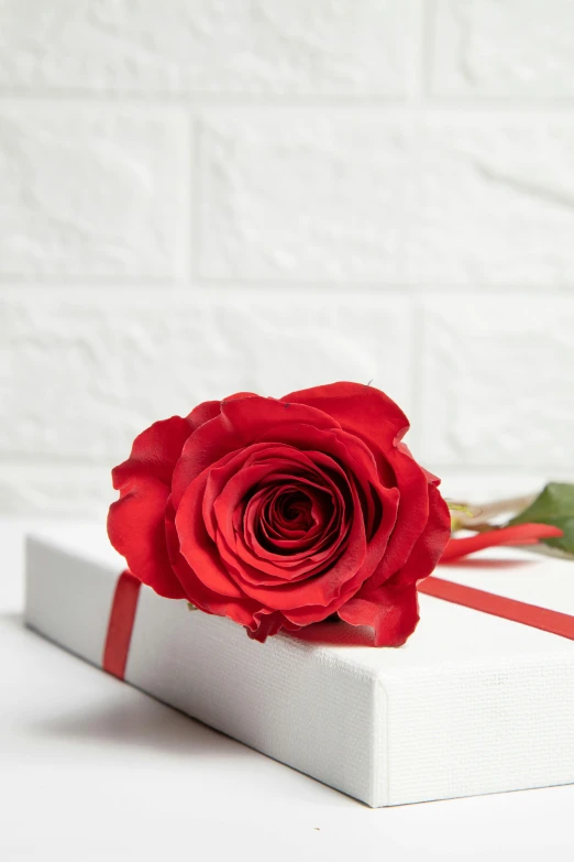 a rose that is on top of a white box