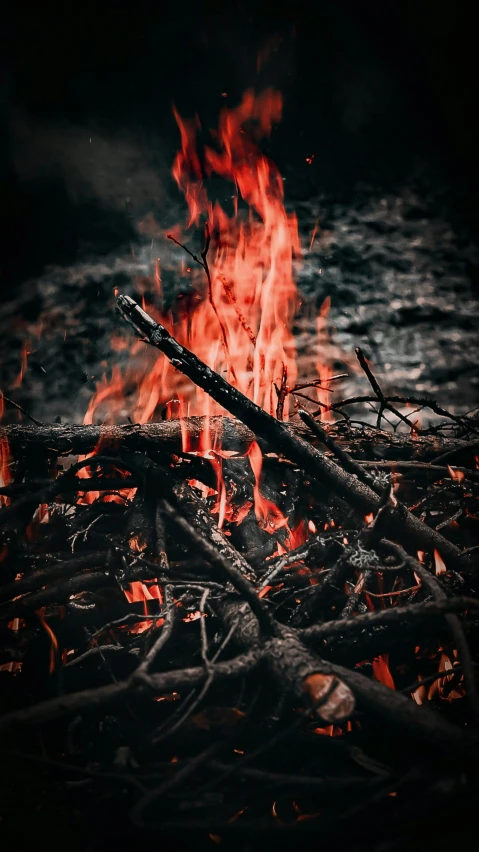 a close up of fire burning on the ground