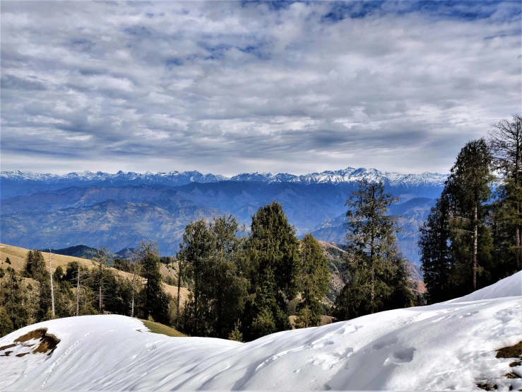 snow on the ground below mountains with pine trees