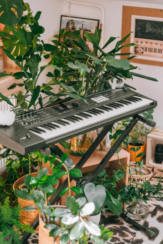 a keyboard is surrounded by plants in a room