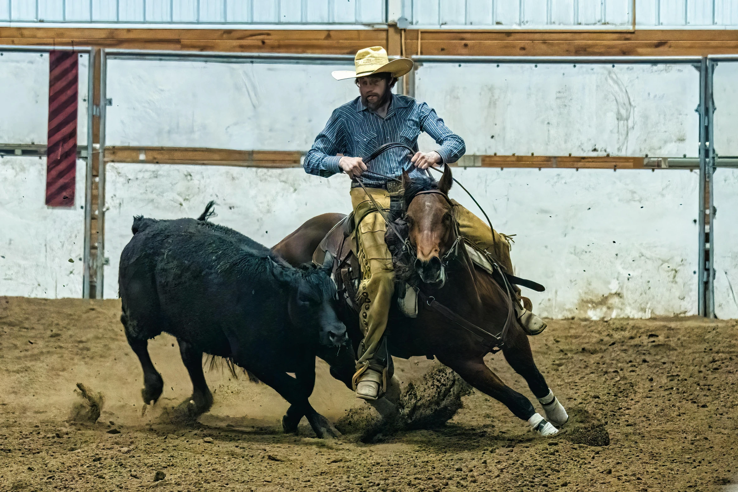 man in blue shirt and cowboy hat on horse chasing a black boar