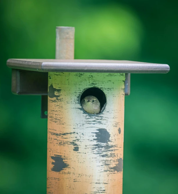 a bird house with a small doll in the middle