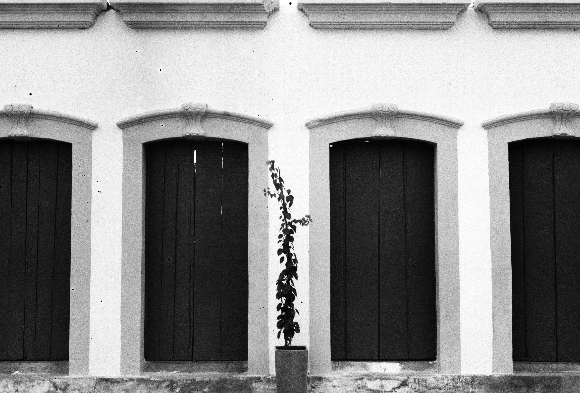 a black and white po of four windows with closed shutters