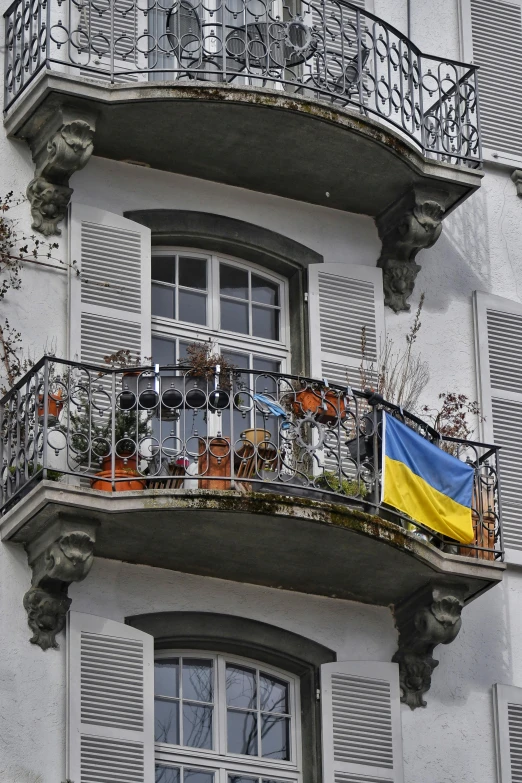 balcony area with plants and windows overlooking the street