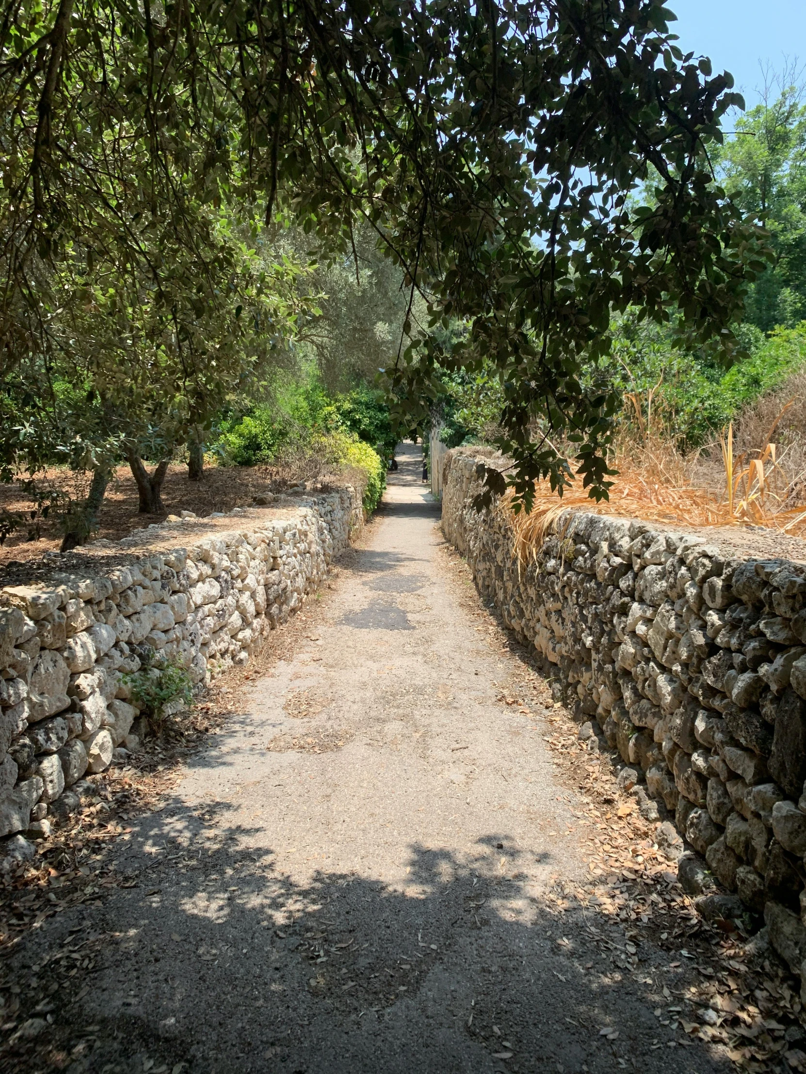 a pathway in a stone walled area with trees and bushes