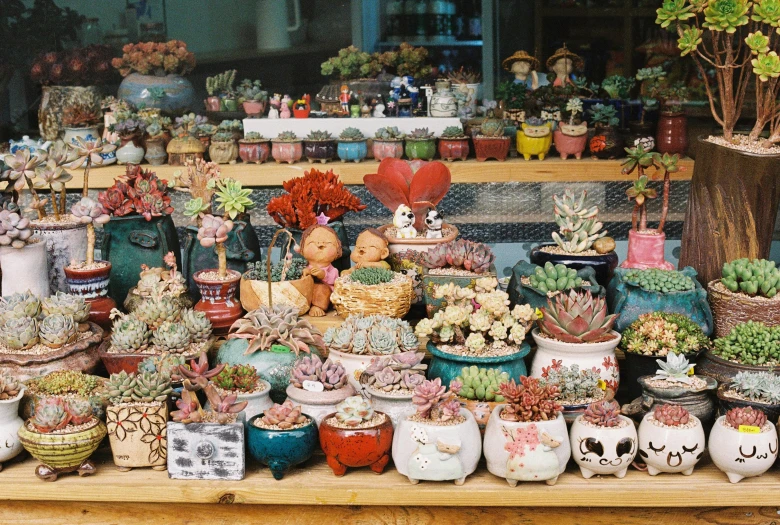 a group of pots and plant items on a table