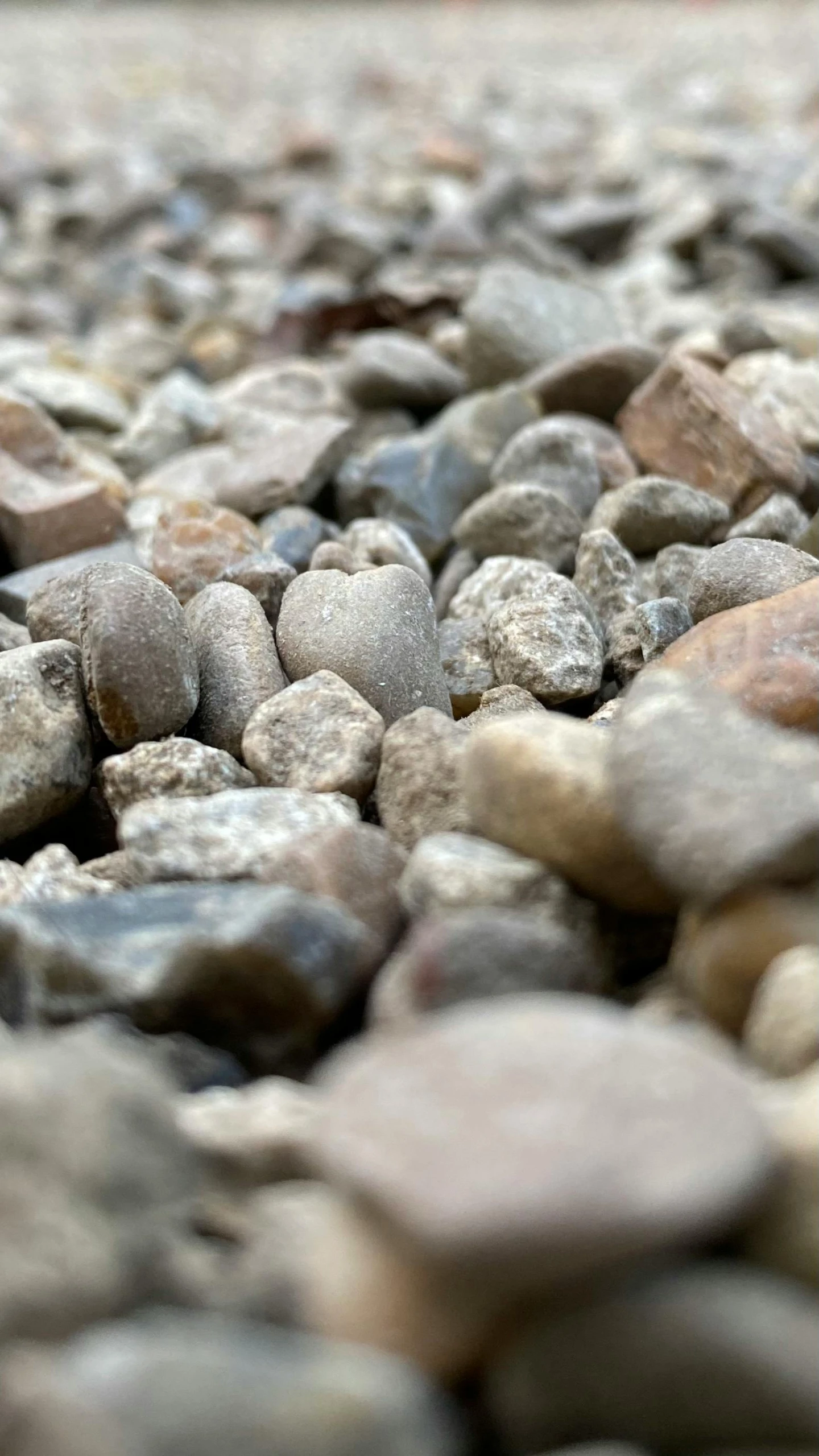 a red object that is laying on some rocks