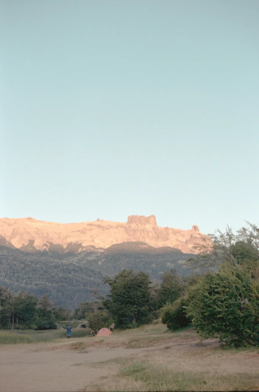 two animals standing in the grass near trees and mountains