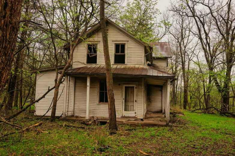 an abandoned house sits alone in the forest