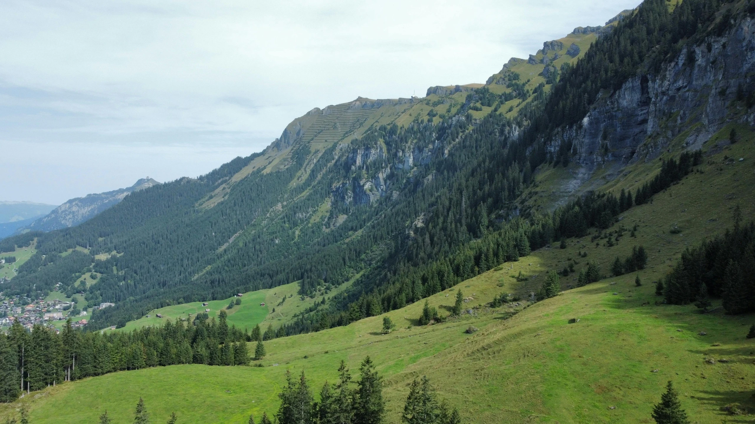 view of a mountain with grassy area, hills and forest in the distance