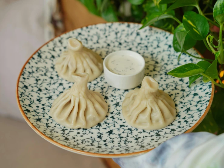 a couple of dumplings sit on a blue and white plate