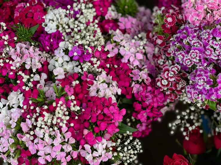 a picture of a lot of flowers taken from above