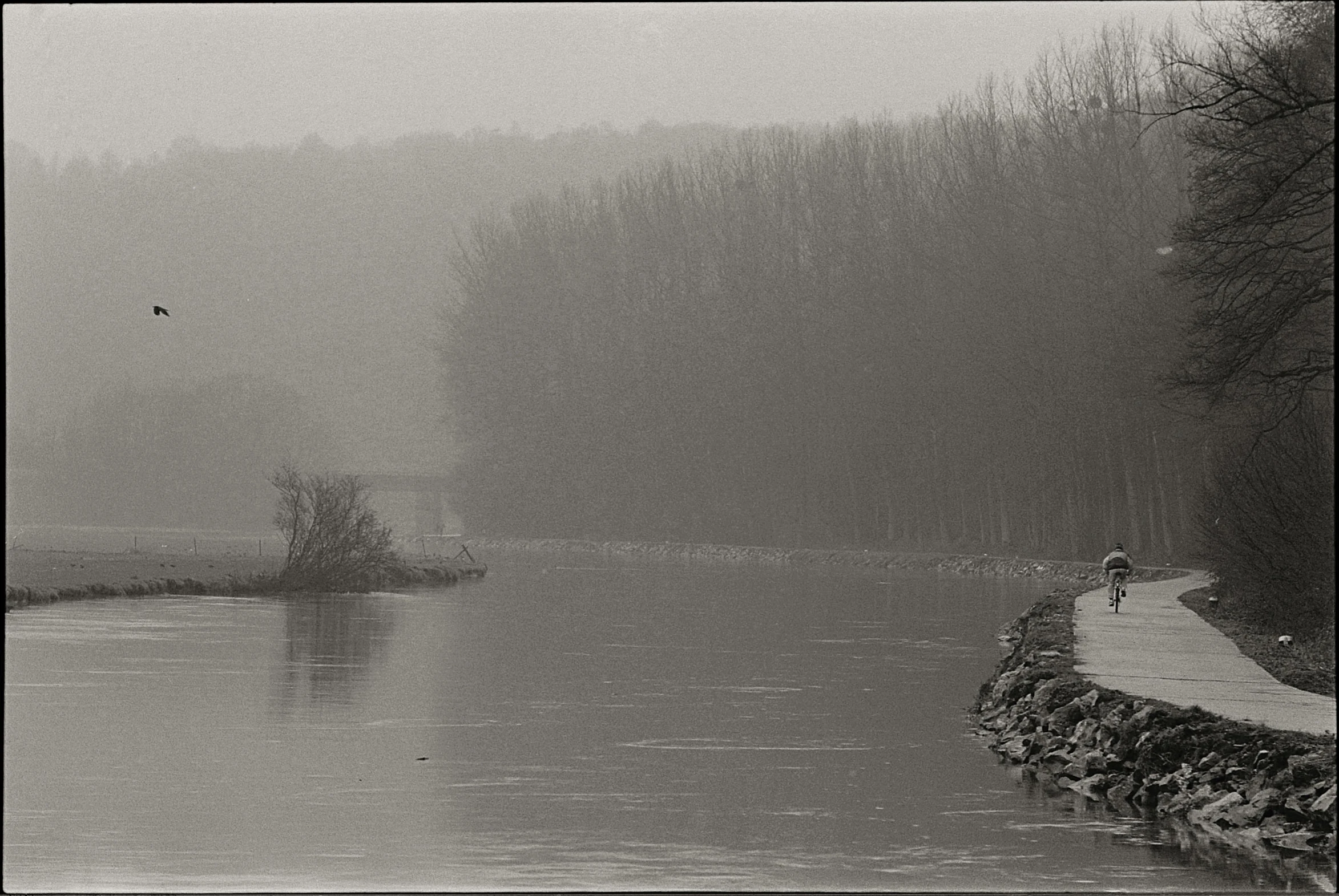 a boat is in the water surrounded by trees