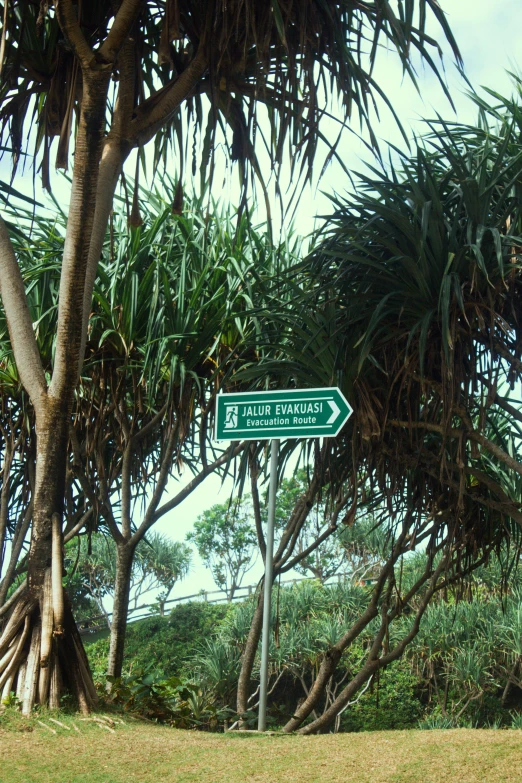 street sign for pacific canyon on green and white sign