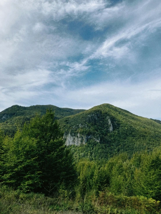 a lush green forest filled with trees and a tall hill