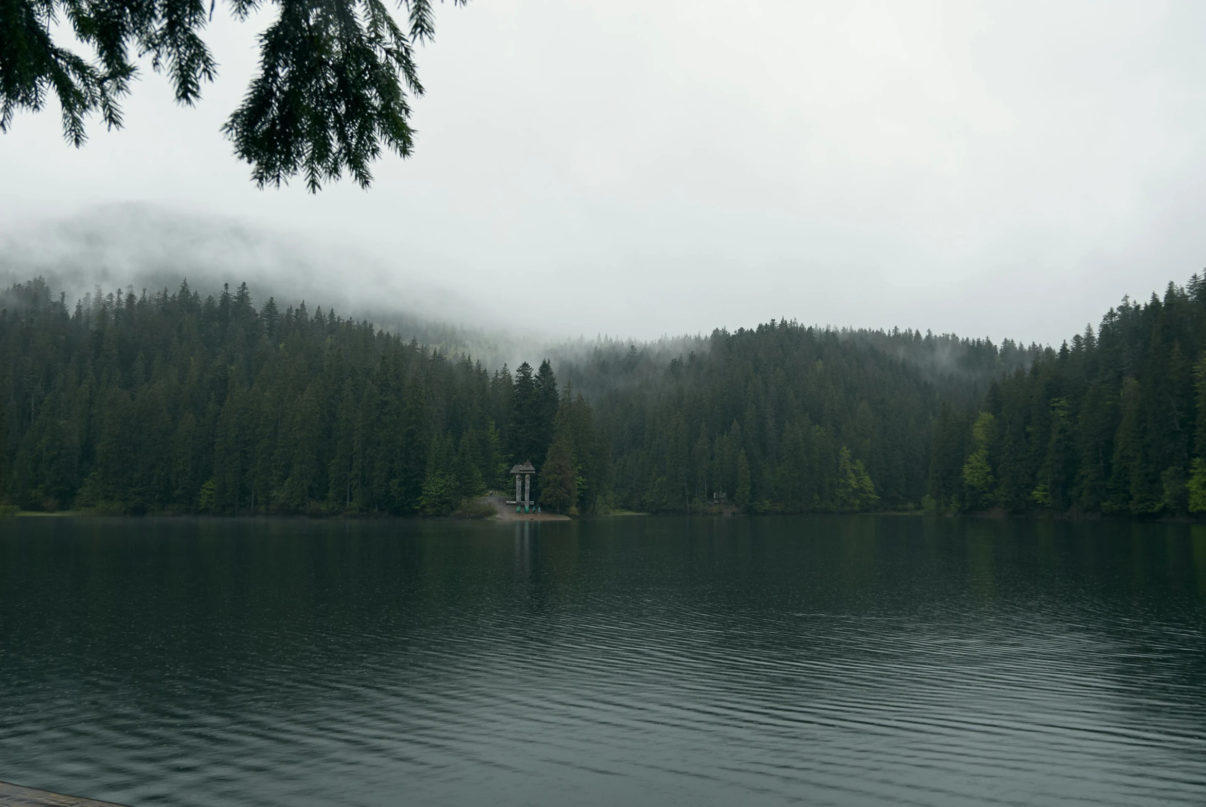 a lake is surrounded by pine trees and mist