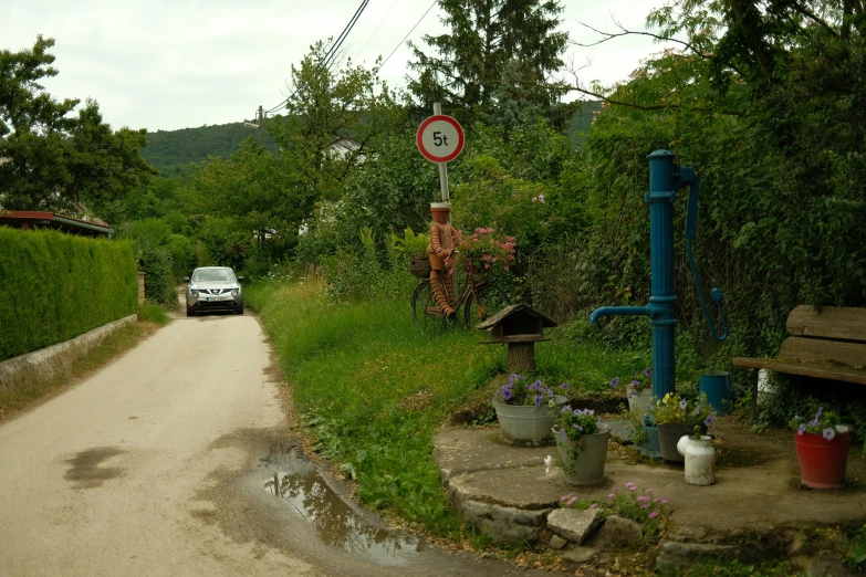 the dirt road is full of various plants and small objects