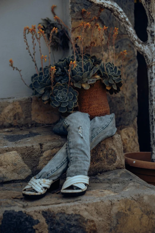 someone is sitting with a flower pot on their lap