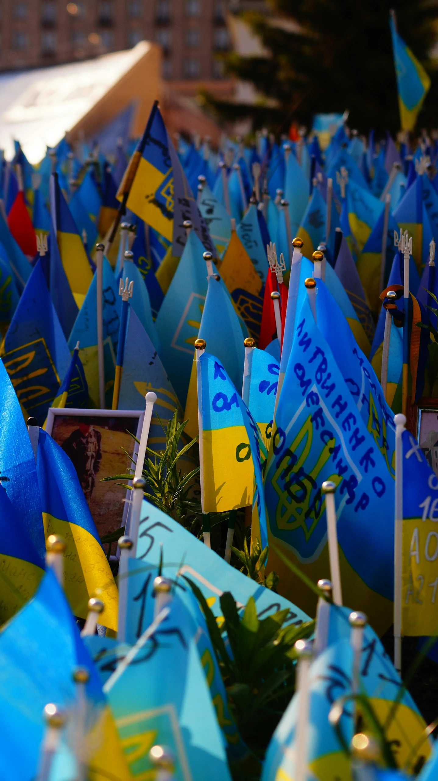 a large amount of blue flags are in the shape of a number