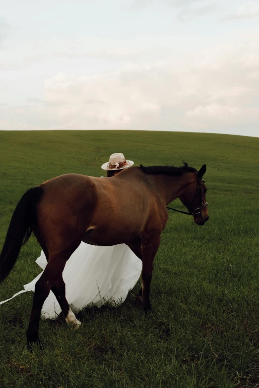 a horse in a field with a bride and groom