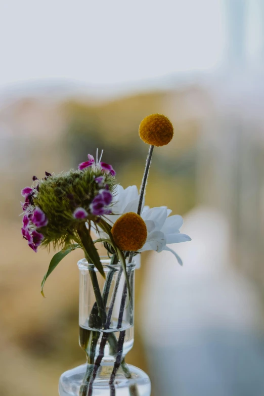 daisies and other flowers in a vase on the table