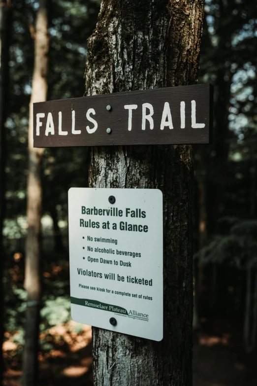 a sign posted on a tree in the woods