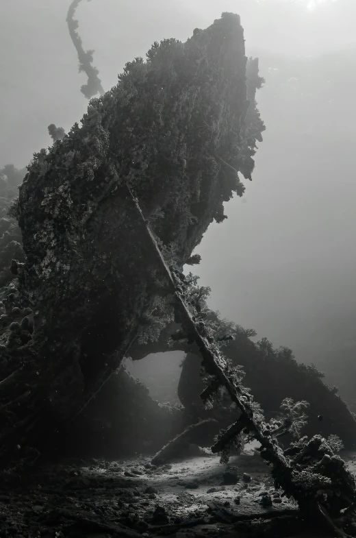 underwater black and white pograph of a large rock