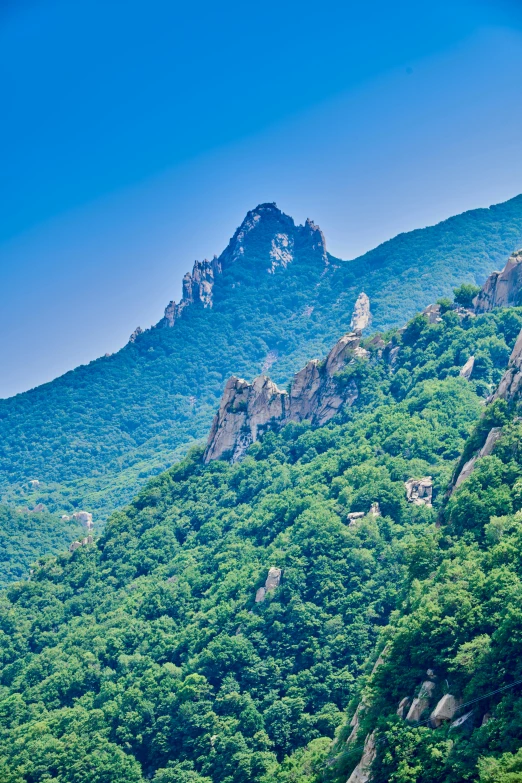 a mountain side landscape has trees and rocks