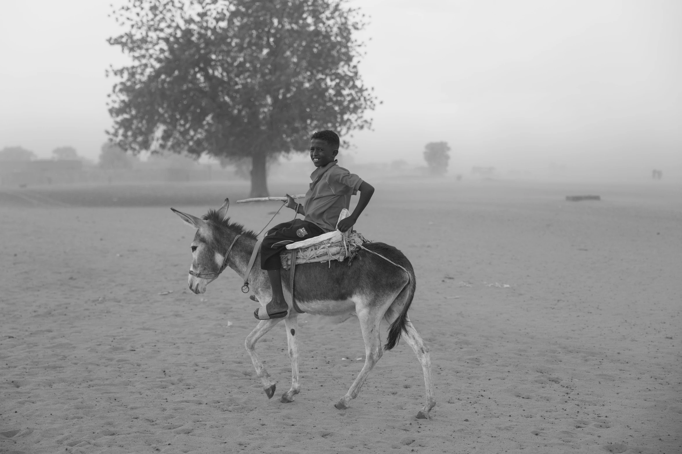 black and white pograph of man on top of horse