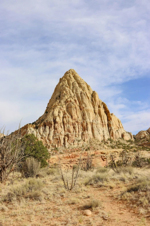 the mountain is surrounded by sp vegetation and small bushes