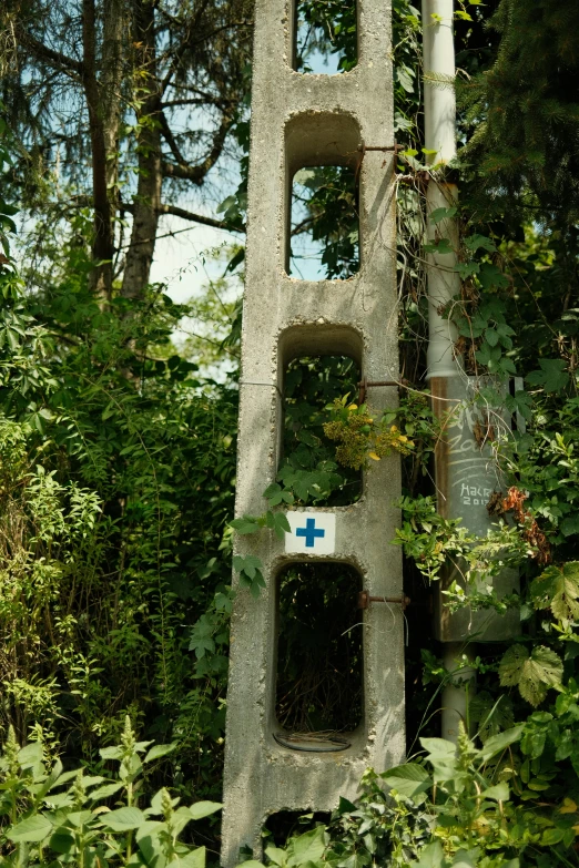 a large cement structure in the middle of the forest