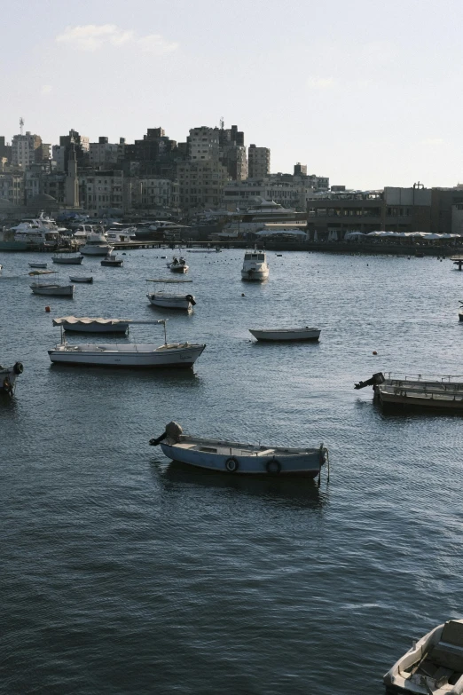 boats docked in a bay outside a city