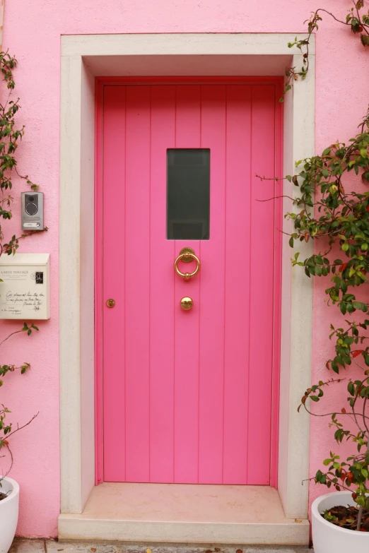 a pink door with two pots of green plants