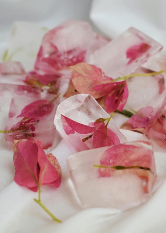 some flowers that are growing on some ice