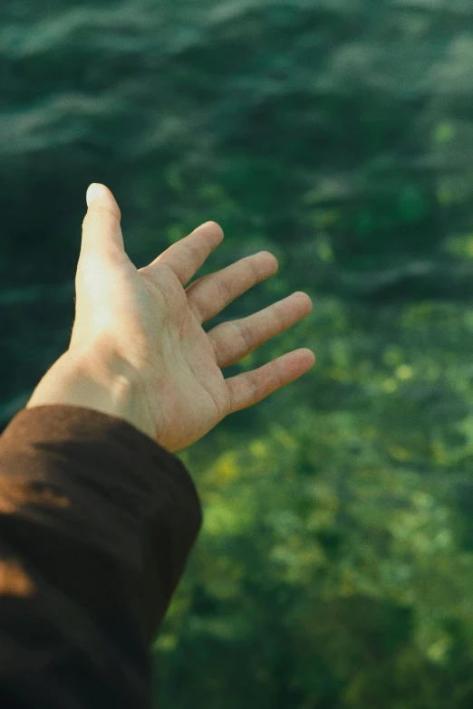 a person holding their hand out over some water