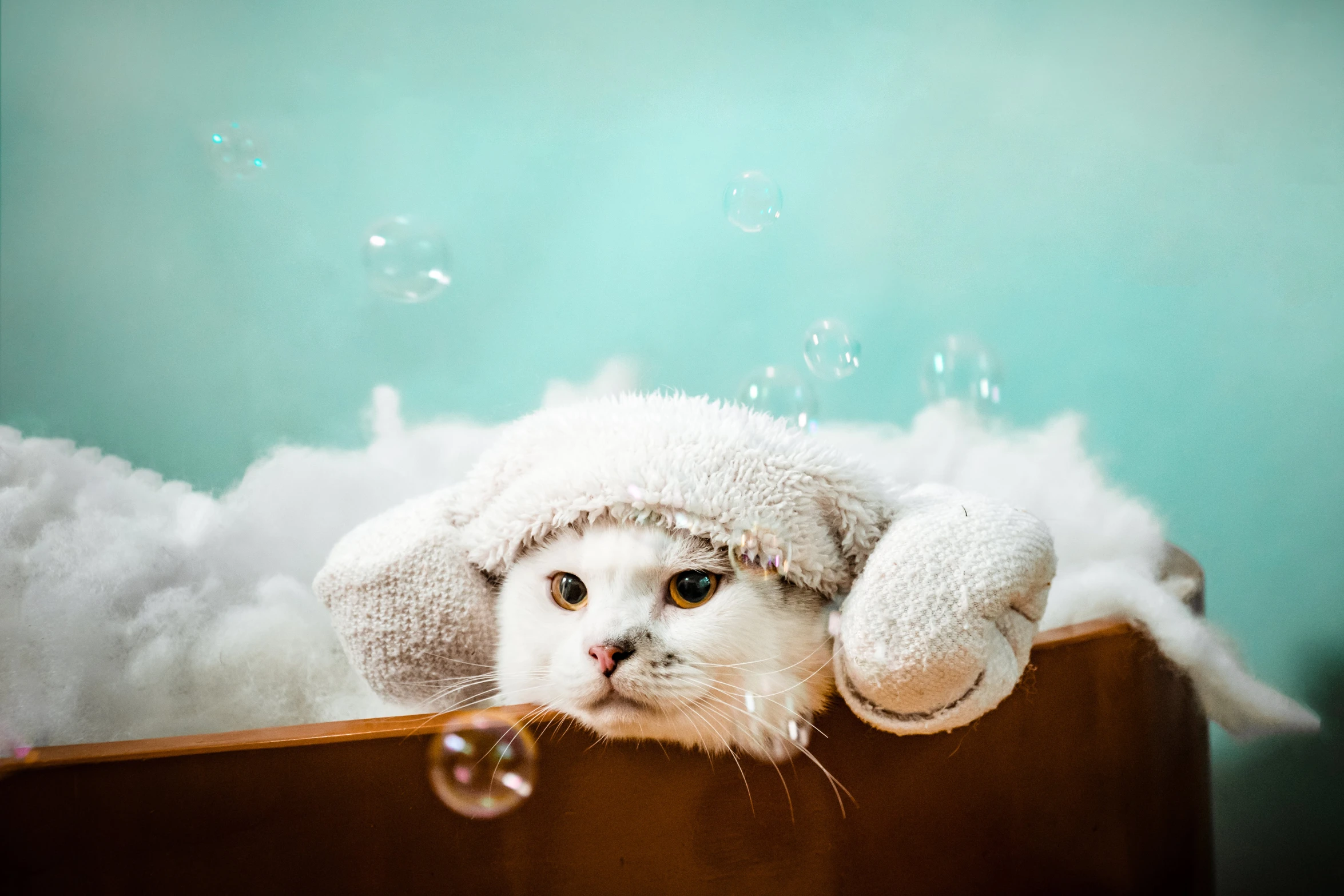 a cat in a fluffy hat is sitting in a bathtub with soap bubbles