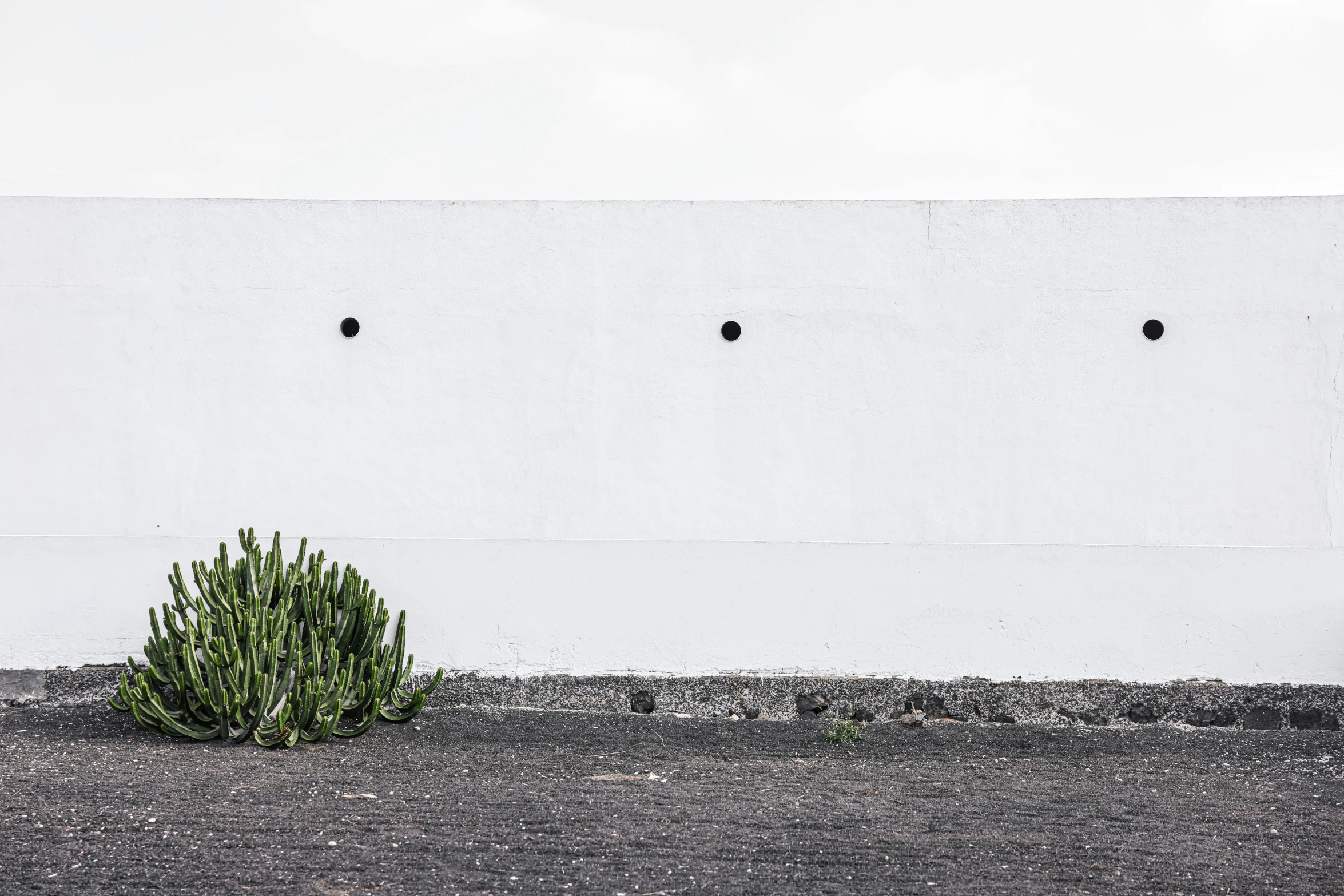 a white concrete wall with two holes on the right side of it and a small cactus near by