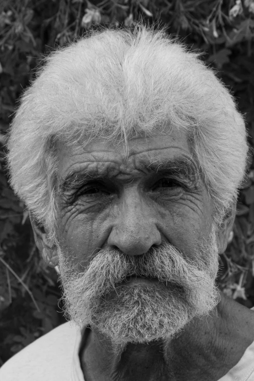 a black and white portrait of a senior citizen, an old man with graying hair