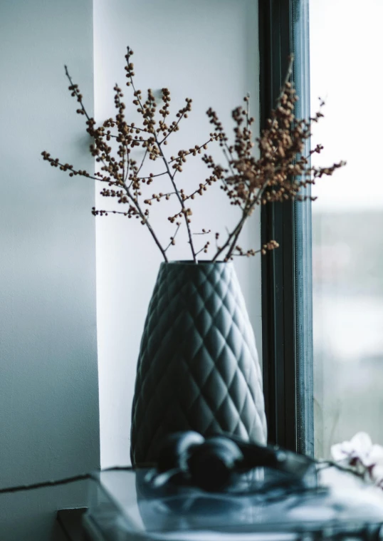 a vase with a small nch in it sitting on a window sill