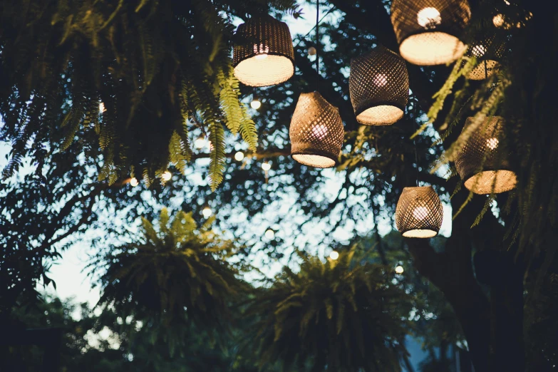 the lights are hanging from a canopy in the tree