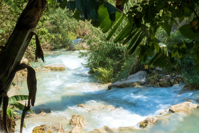 a river flowing between some trees and rocks