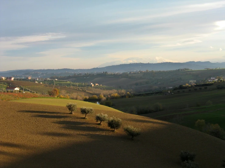 several trees in the distance near an open field