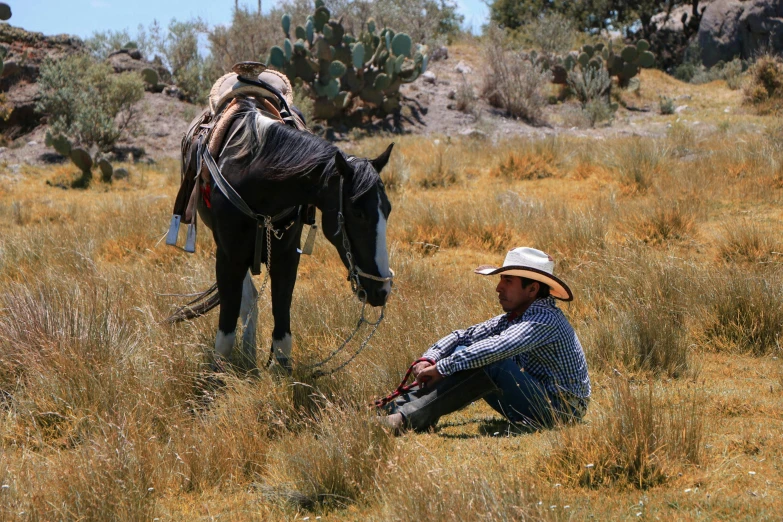 a man sitting in a field with his cowboy hat on