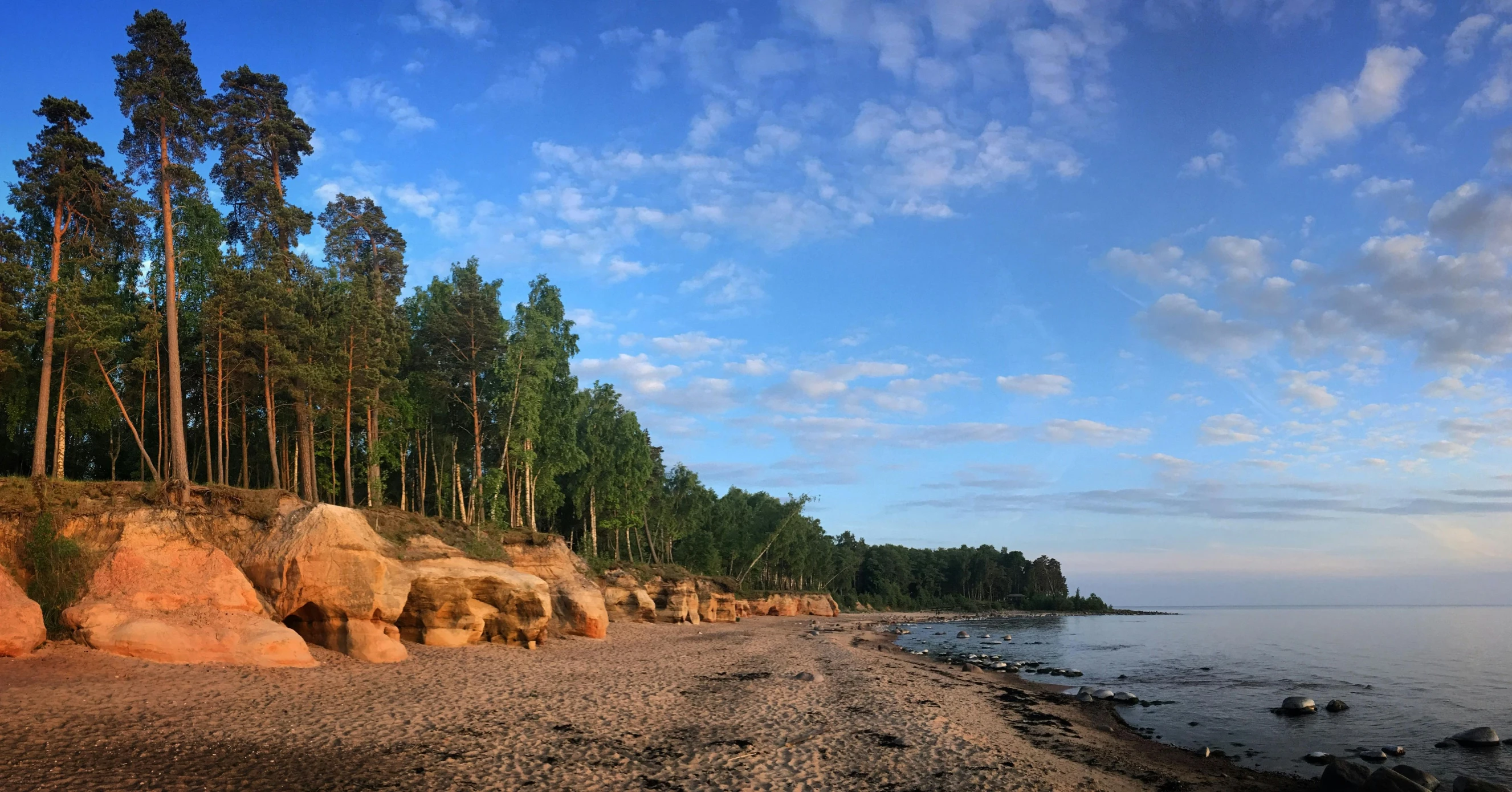 several rocks and pine trees on the shore of the lake